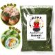 Get the Dried AOSA Seaweed Flakes Aonori for Your Sushi Food A Must-Have Ingredient