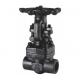 Integral Or Welded Forged Steel Valves Industrial Globe Valve Wear Resistance
