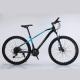 Customization 26 Inch Lightweight Mountain Bike With Double Disc Brake 21s Gear