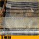 SUS 304 316 Stainless Steel Crimped Wire Mesh