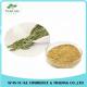 Health-care Product Instant Tea Powder Pure Natural White Tea Extract with Polyphenols
