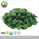 Golden Supplier dried vegetables price freeze dried Spinach