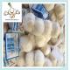 2016 Crop Cold Storage Fresh Snow White Garlic For Sale