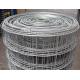 Galvanized Hardware Heavy Duty Weld Mesh Cloth With Size Of 1/4 Inch - 6 Inch