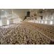 Wind Resistant Commercial Poultry House Q355 Chicken Farm Steel Structures
