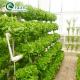 Tomatoes Vertical Hydroponic System for Multi-Span Greenhouse Sales in Netherlands