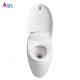 Automatic Operation One Piece Dual Flush Toilet Automatic Heating