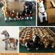 Big Popular Toy Horse on Wheels, Plush & Stuffed Toy Horse Pony Animals for Kids & Adults