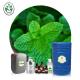 Natural 100% Pure Body Massage Spearmint Essential Oil For Skin