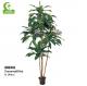 Imitation Bonsai High Quality Artificial Dracaena With Real Touch Leaves For Hot Sale