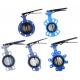 PTFE Seal Material Ductile Iron Worm Gear Electric Lug Butterfly Valve for INDUSTRIAL
