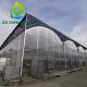 Strawberries Plastic Film Greenhouse