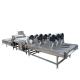 400-600kg Fruit Vegetable Processing Machine Automatic  Fruit Drying And Sorting