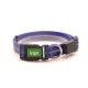 Glow Light Led Dog Collar USB Rechargeable 37-63cm Adjustable Dog Collar For Puppy
