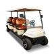Outdoor Eight Person Beach Golf Cart Buggy Car Golf With 850kg 4kw CE Certification