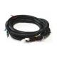 Customized Auto Engine Wiring Harness Cable Assembly for OEM Color in America Market