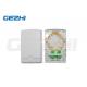 Sm / Mm 2 Core Wall Mount Fiber Termination Box For Fttx Access And Tele Communications Network