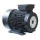 IC411 8.8A Hollow Shaft Motor with 35Kg Weight F Insulation Class