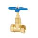 Wear Resisting  Pegler Type Brass Stop Valve 1 Inch For Water Supply