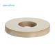 Ultrasonic Transducer Piezoelectric Ceramic 10x5x2mm Ceramic Ring