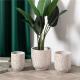 New arrival indoor outdoor desktop decoration plant pots custom luxury ceramic garden pot for flower