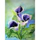 Butterfly Flores 5d Full Diy Diamond Painting Flower Series Square Diamond