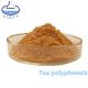 Tea Polyphenols Green Tea Extract Powder Food Grade Leaf Part Extract