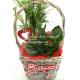 new design home dicorative wicker flower basket willow garden basket plant with