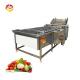 Manufacturing Plant 304 Stainless Steel Fruit And Vegetable Washing Machine