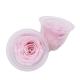 4-5cm Pink Preserved Roses In A Box Long Lasting