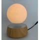 Moon Light Lamp 3D Printing Lamp Desktop Lamp Magnetic Levitating Floating LEVIMOON