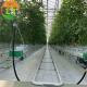 Top and Side Ventilation System Large Glass Garden Greenhouse