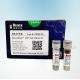 Beaver Beads Cell Isolation Kit For Immunotherapy