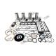 404C-22/404C-22T Overhaul Kit With Bearing Set For Perkins engine parts