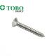 DIN7983 Cross Recessed Countersunk Counter Sunk Flat Head Tapping Tack Chamfer Head Screws