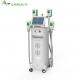 4 handles working together Cryolipolysis Fat Freeze Slimming Machine with beauty clinic