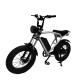 Off-Road 20*4.0 Kenda Tire Electric Bike for Thrilling Rides and Fast Shipping