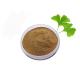 Medical Grade Anti Oxidant Pure Ginkgo Biloba Extract Powder