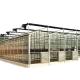 3.8m-9.8m Ridge Height Glass Solar Greenhouse for Customer Requirements