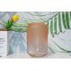 Elegant Transparent Glass Vase Decor Modern Home Office Wedding Flower Holder