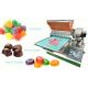 PLC Candy Making Machine SSS304 Chocolate Gummy Depositor Machine