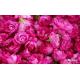 Dried Rose Buds Flower Fruit Tea Flavored Tea For Regulating Menstruation