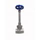 Stainless Steel Flanged Globe Valve Cryogenic Short Stem With Reliable Sealing
