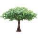 Living Room Artificial Banyan Tree No Sunlight S Shape Trunk Wide Leaf Cover