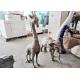 Indoor Mini Size Fiberglass Animal Statues Giraffe And Elephant Statues