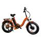 All Terrain Fat Tire Electric Bike Beach Cruiser  Long Range Off Road On Snow Winter