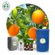 Citrus Pure Organic Essential Oils