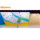 Indoor Climbing Wall Training Board For Playground Adventure Park