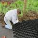 330mm-1000mm Welding Distance HDPE Geocell Gravel Grid for Road and Slope Protection