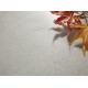 600x600 mm Size Tile Grip Lappato Tile Peal Color Tile Heat Insulation